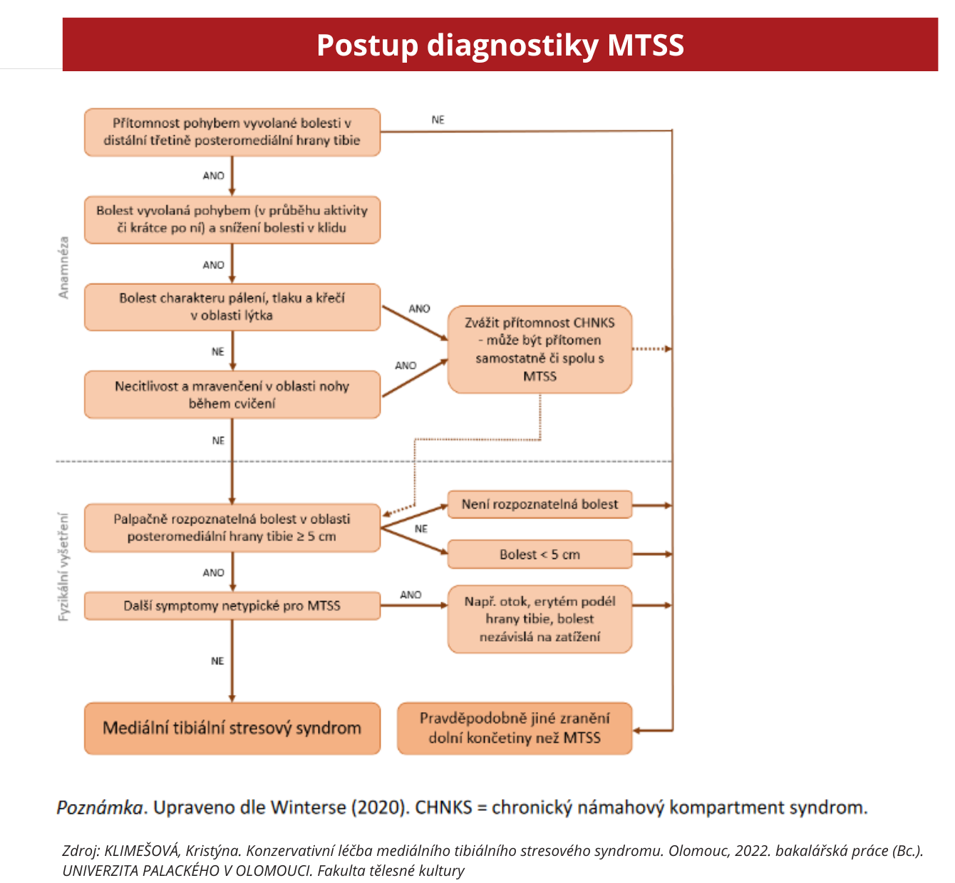 diagnostika 3
